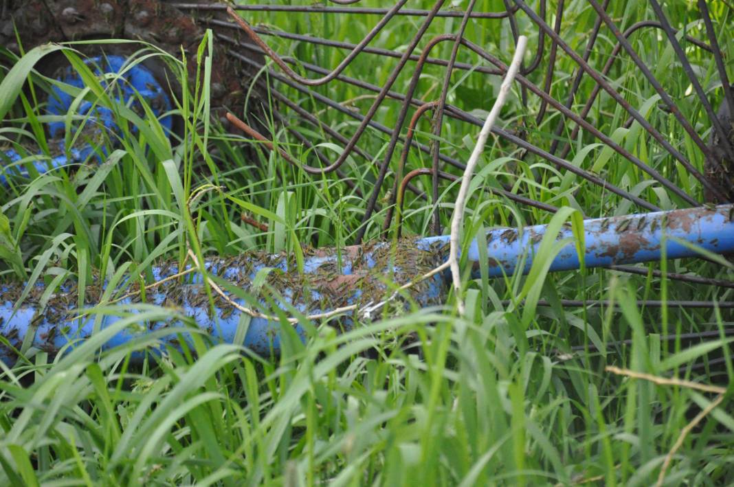 Bu köyde yaşayanlar ne kapı ne de pencere açabiliyor! 2