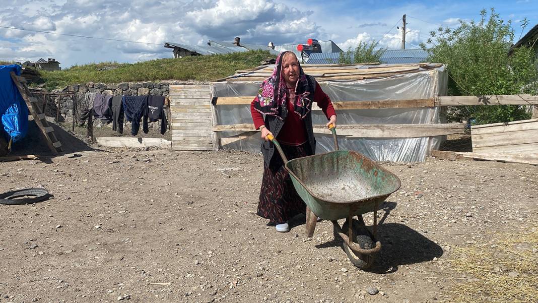 68 yaşındaki üniversite öğrencisi köyden online derslere katılıyor: Hayat bana yılmamayı öğretti 12