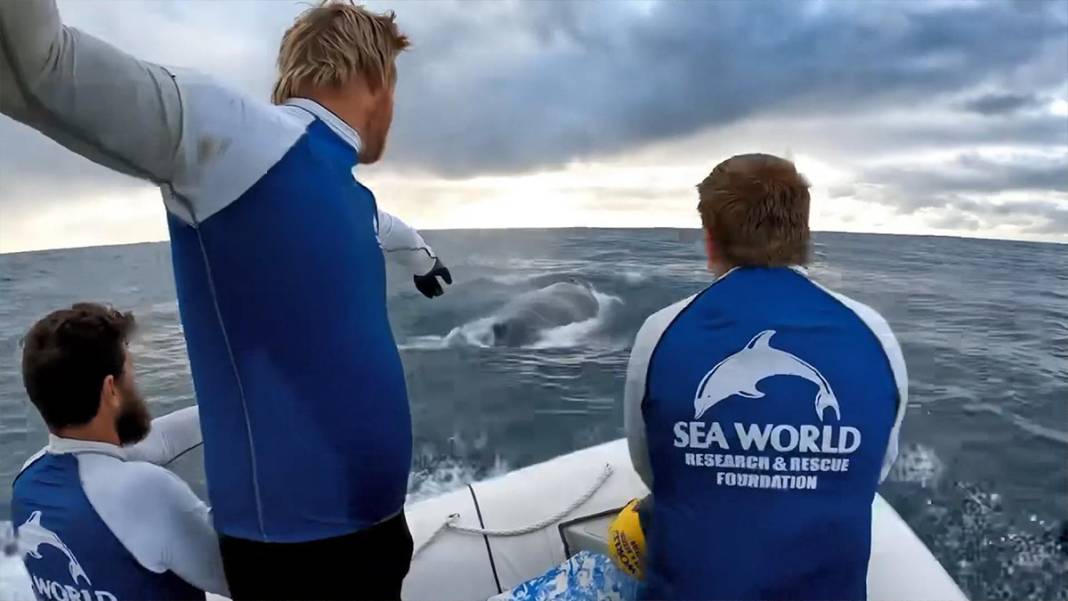 Denizin dibinde ağlarla boğuştu! 1