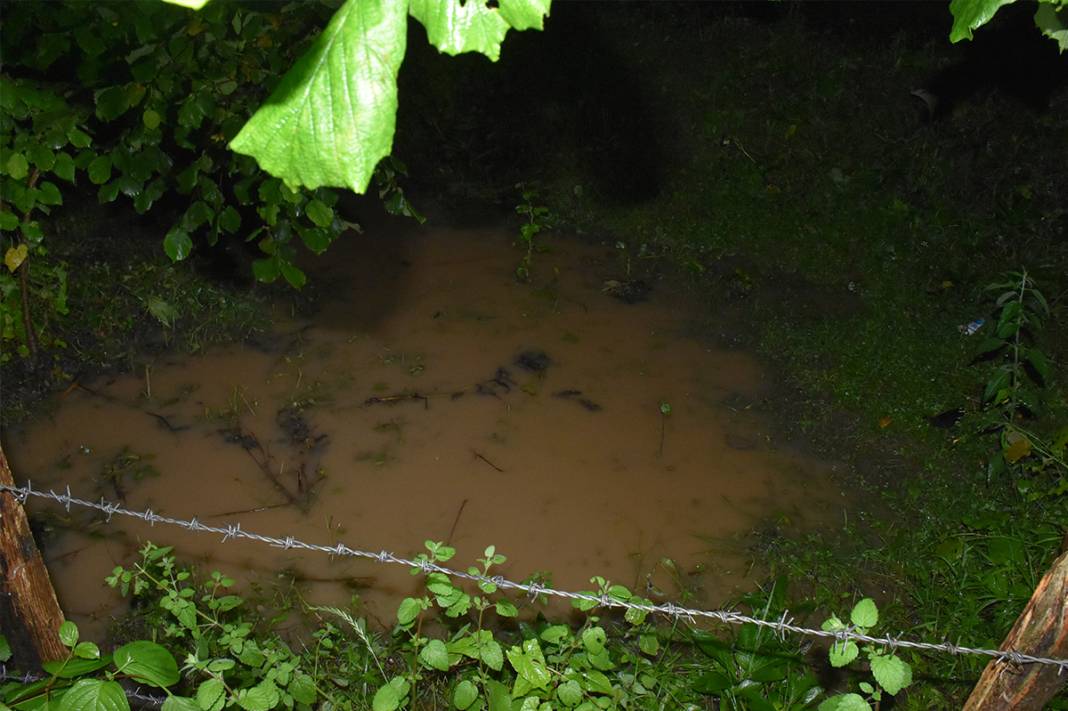 Karadeniz şiddetli yağışlara teslim! Dereler taştı, evleri su bastı 1