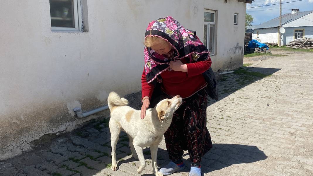 68 yaşındaki üniversite öğrencisi köyden online derslere katılıyor: Hayat bana yılmamayı öğretti 11