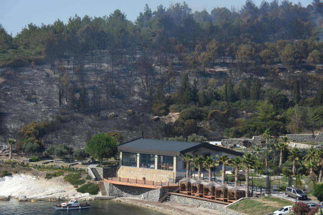 İzmir'de 390 hektar alan artık yok: Yeşili siyaha büründüren felaket 9