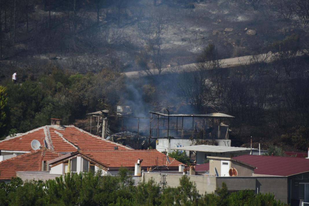 İzmir'de 390 hektar alan artık yok: Yeşili siyaha büründüren felaket 11