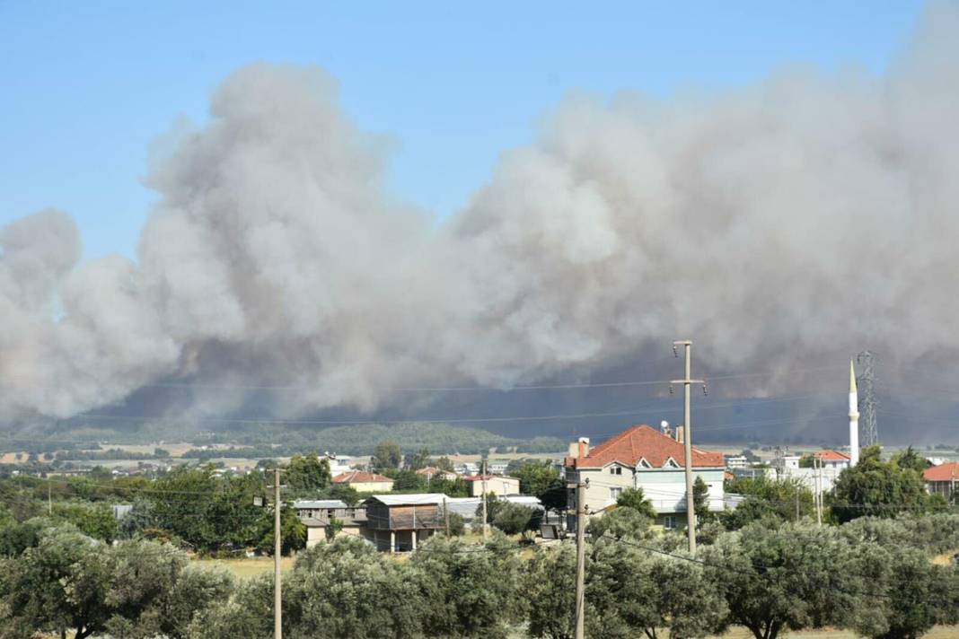 İzmir'de 390 hektar alan artık yok: Yeşili siyaha büründüren felaket 10