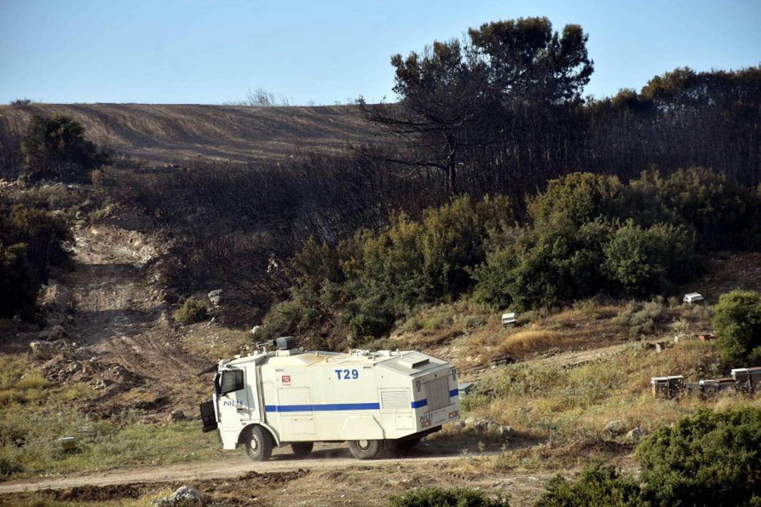 İzmir'de 390 hektar alan artık yok: Yeşili siyaha büründüren felaket 4