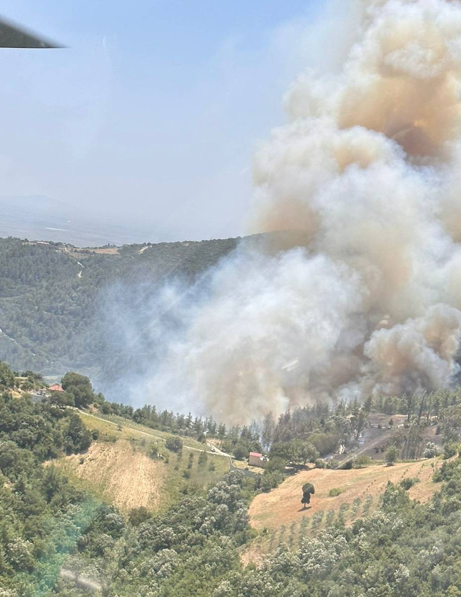 Osmaniye'de korkutan orman yangını: Yangınlar durmak bilmiyor! 4