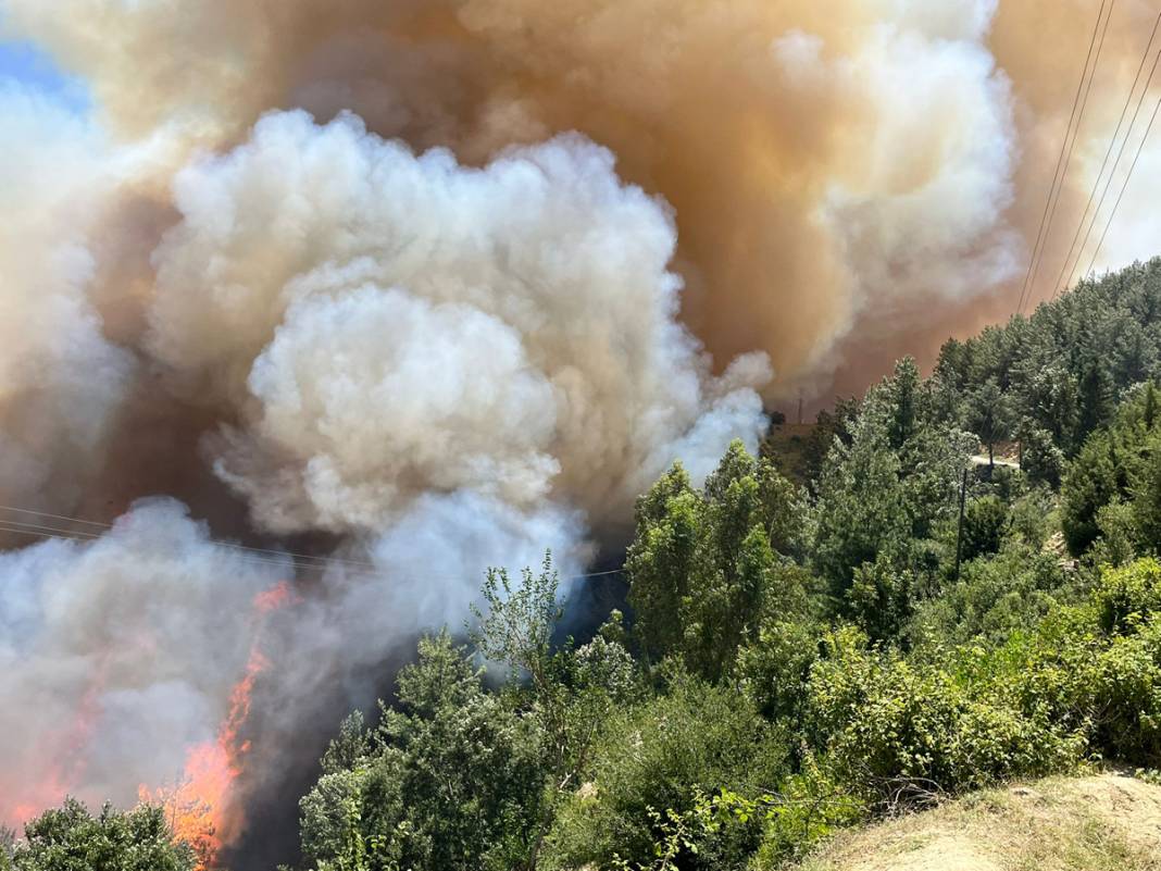 Osmaniye'de korkutan orman yangını: Yangınlar durmak bilmiyor! 2