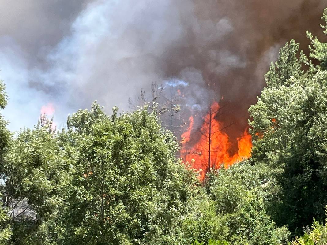 Osmaniye'de korkutan orman yangını: Yangınlar durmak bilmiyor! 1