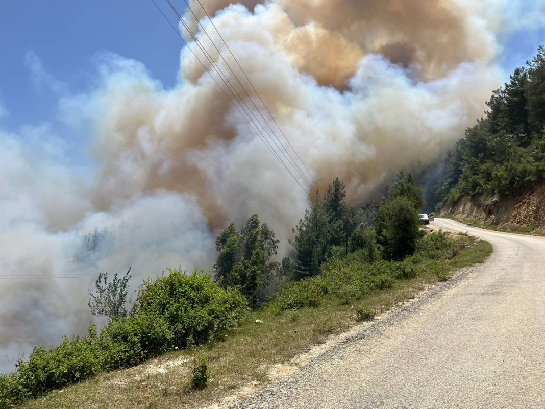 Osmaniye'de korkutan orman yangını: Yangınlar durmak bilmiyor! 3