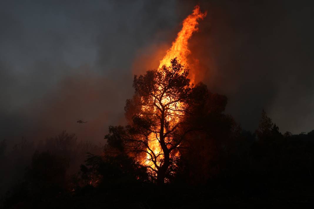 Yunanistan yedi gündür alevlere teslim: 40 bin kişi tahliye edildi 21