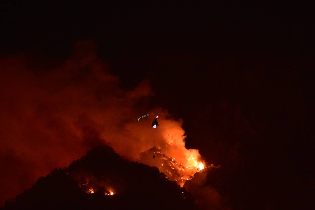 Yine orman yangını 'sınavı': Alevlerle mücadelede son durum ne? 3