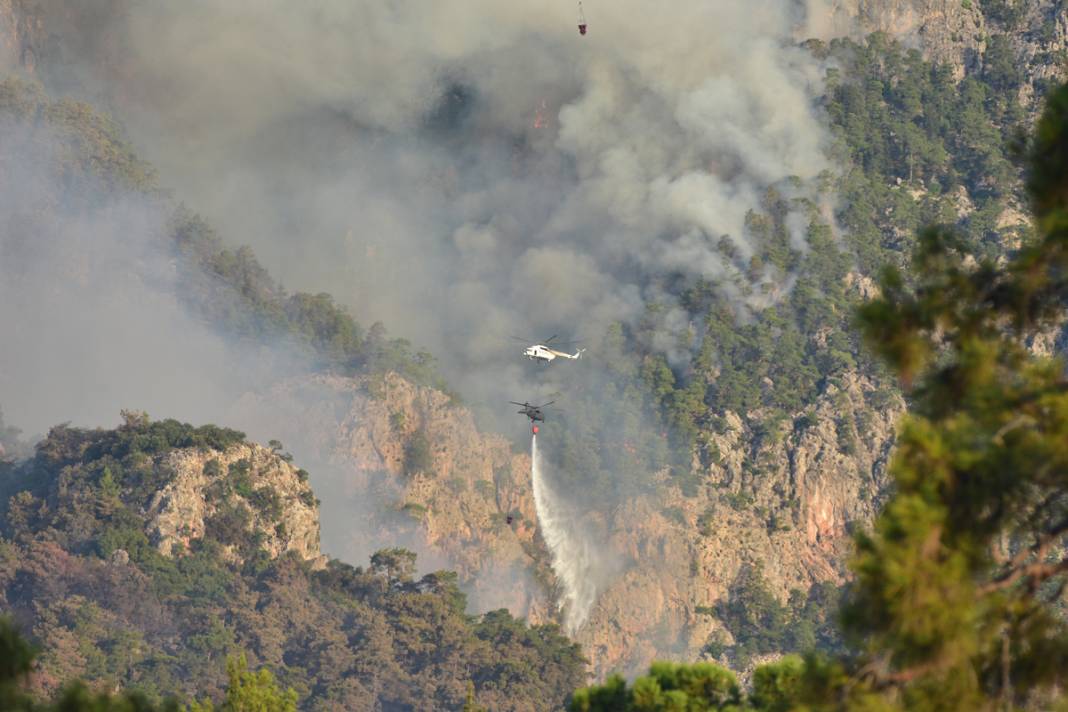 Yine orman yangını 'sınavı': Alevlerle mücadelede son durum ne? 1