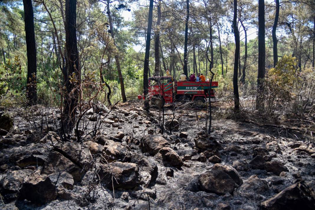 Kemer'deki yangının faturası ortaya çıktı: 420 futbol sahası küle döndü 10
