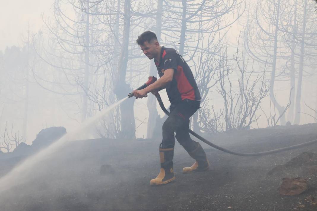 Yine orman yangını 'sınavı': Alevlerle mücadelede son durum ne? 16