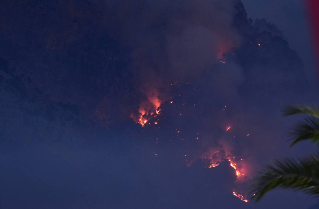 Yine orman yangını 'sınavı': Alevlerle mücadelede son durum ne? 2