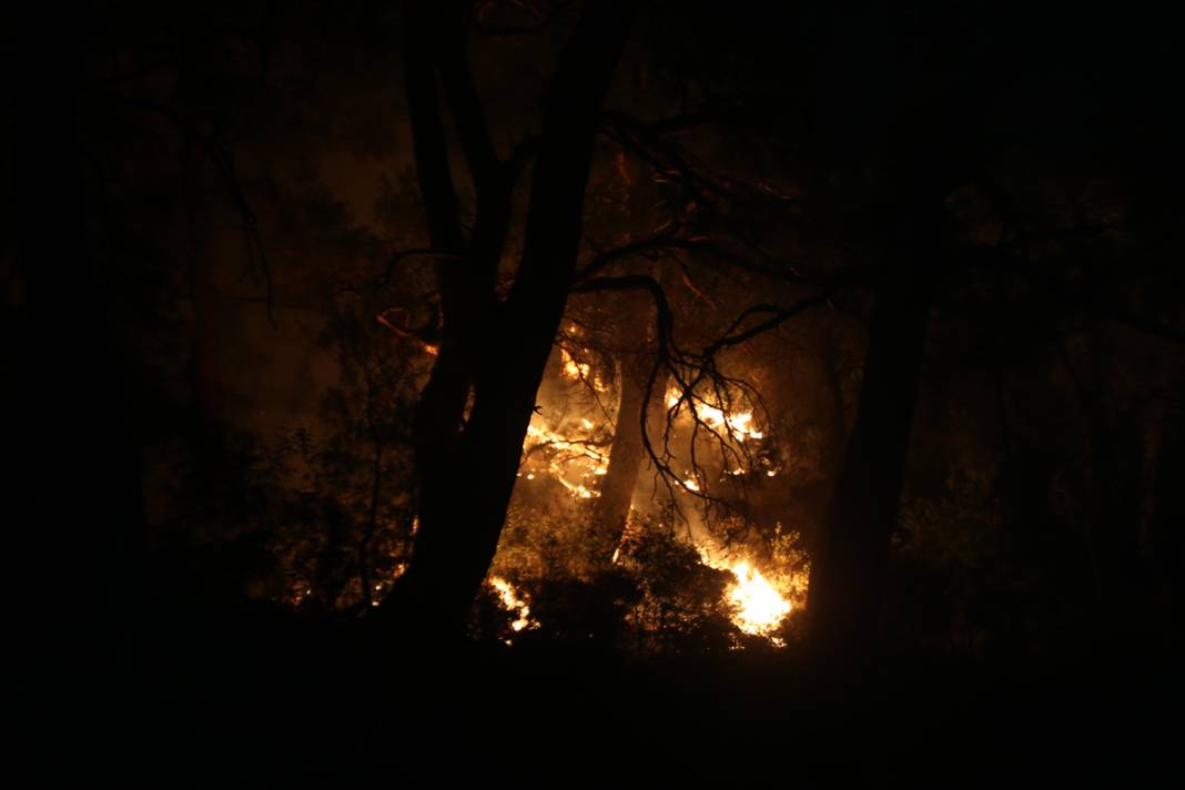 Yine orman yangını 'sınavı': Alevlerle mücadelede son durum ne? 21