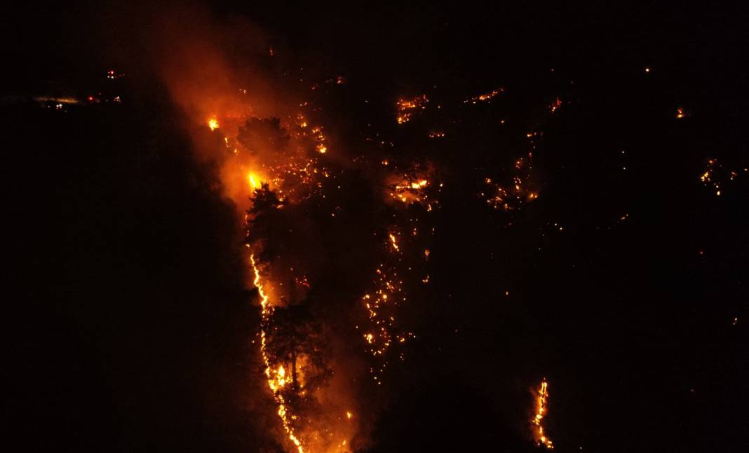 Yine orman yangını 'sınavı': Alevlerle mücadelede son durum ne? 20