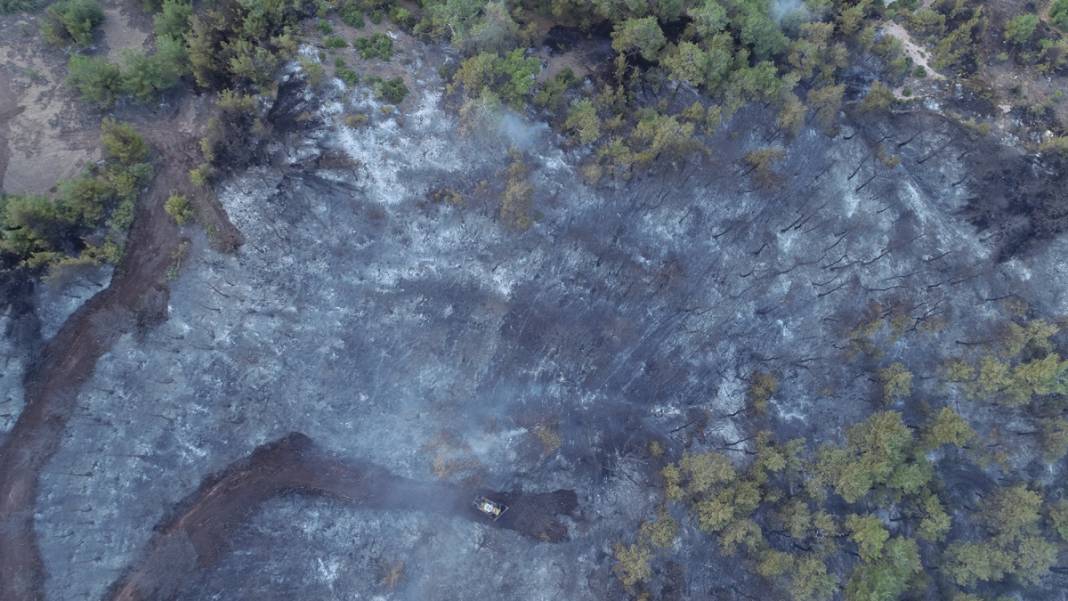 Yine orman yangını 'sınavı': Alevlerle mücadelede son durum ne? 17
