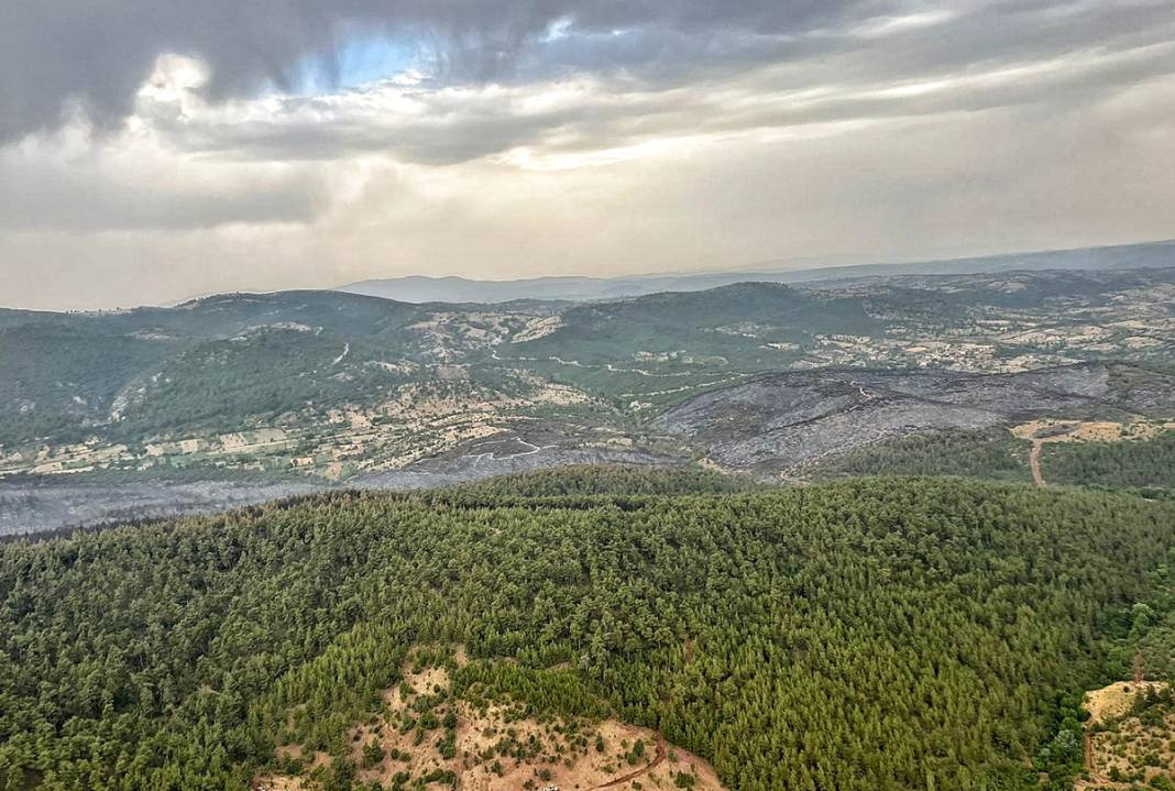 Yine orman yangını 'sınavı': Alevlerle mücadelede son durum ne? 12