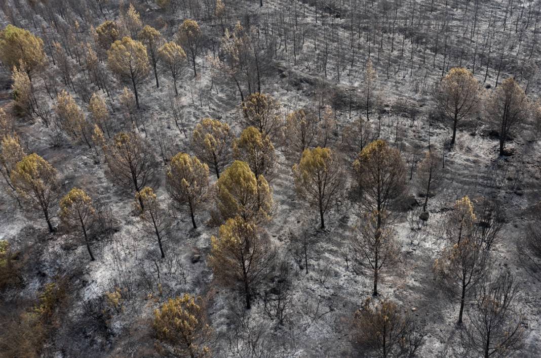 Kınık'taki görüntüler yürekleri burktu: Yangının bilançosu ortaya çıktı 22