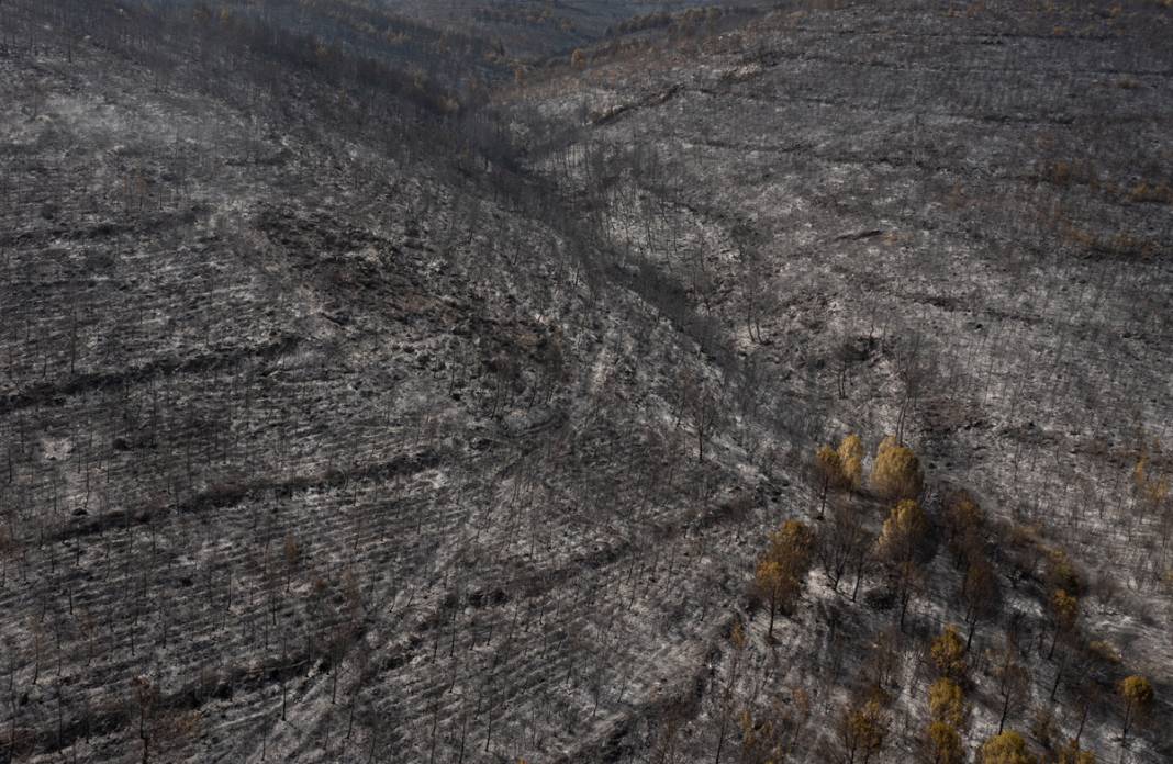 Kınık'taki görüntüler yürekleri burktu: Yangının bilançosu ortaya çıktı 25