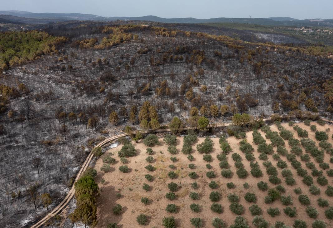 Kınık'taki görüntüler yürekleri burktu: Yangının bilançosu ortaya çıktı 24