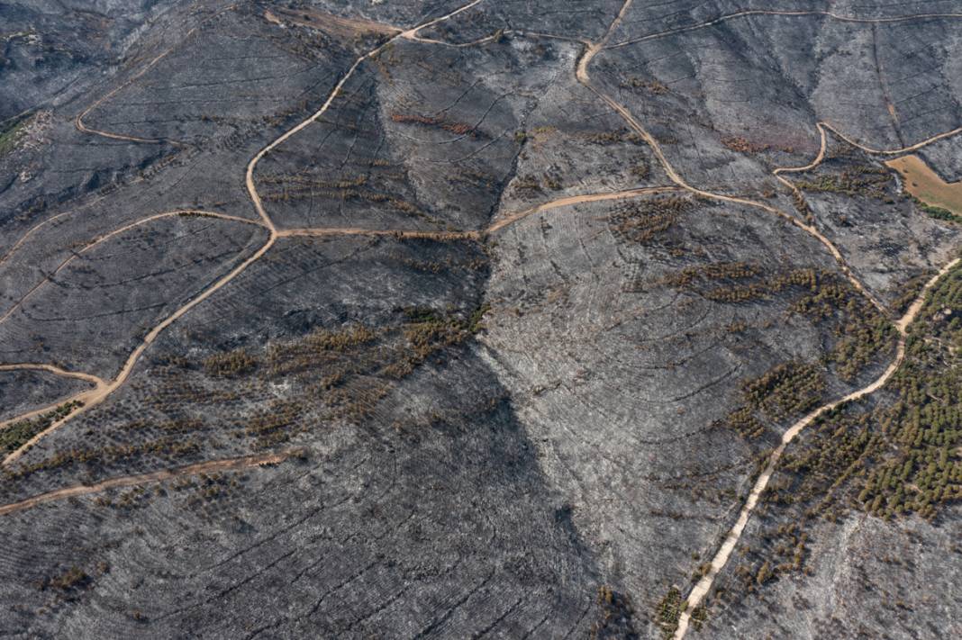 Kınık'taki görüntüler yürekleri burktu: Yangının bilançosu ortaya çıktı 21