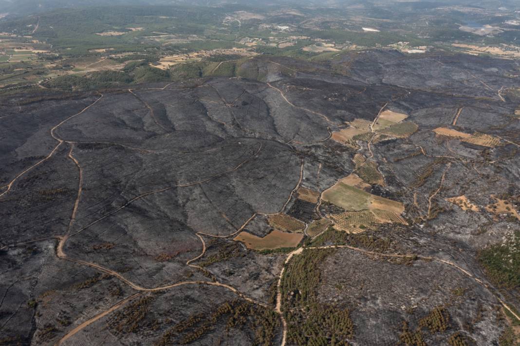 Kınık'taki görüntüler yürekleri burktu: Yangının bilançosu ortaya çıktı 23