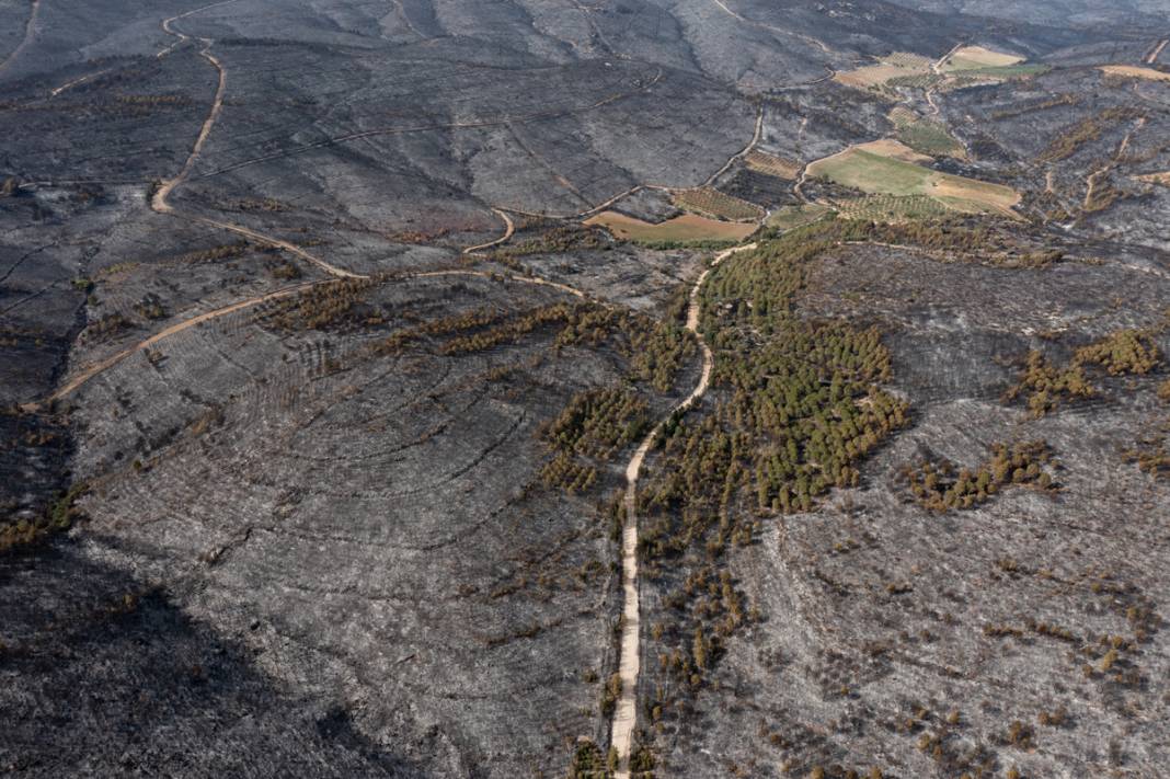 Kınık'taki görüntüler yürekleri burktu: Yangının bilançosu ortaya çıktı 20