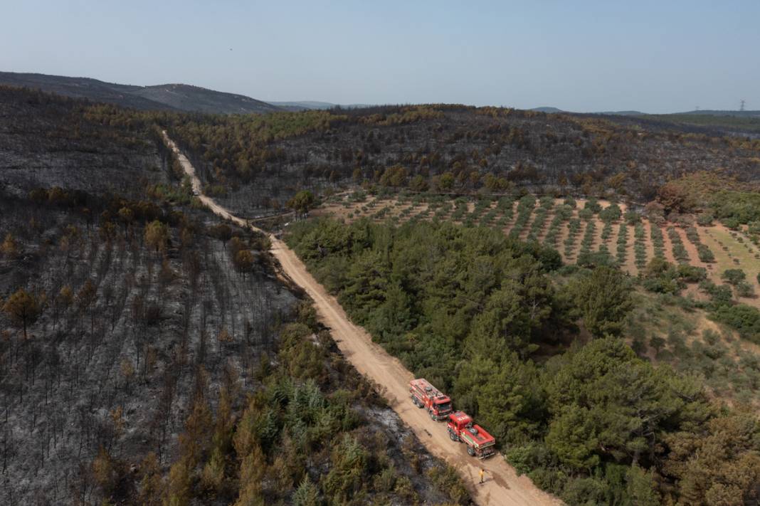 Kınık'taki görüntüler yürekleri burktu: Yangının bilançosu ortaya çıktı 15