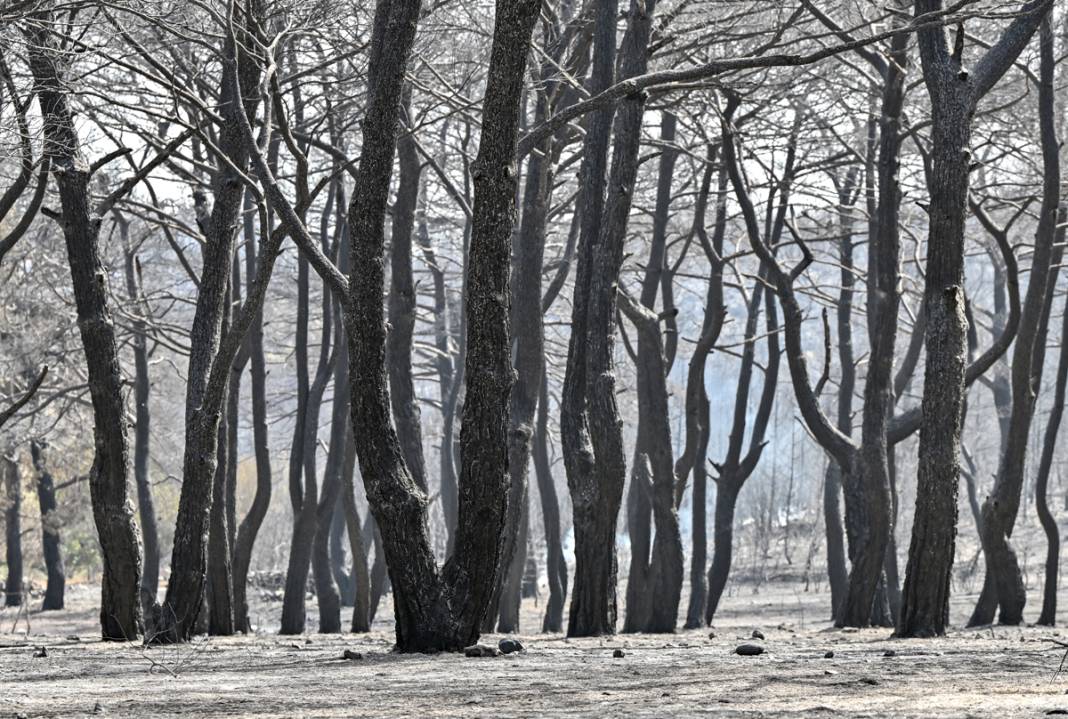 Kınık'taki görüntüler yürekleri burktu: Yangının bilançosu ortaya çıktı 8