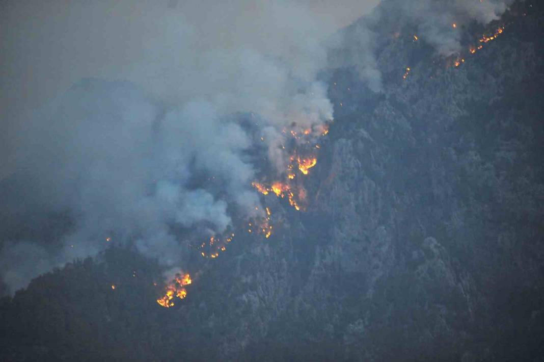 Kemer'deki yangının faturası ortaya çıktı: 420 futbol sahası küle döndü 15