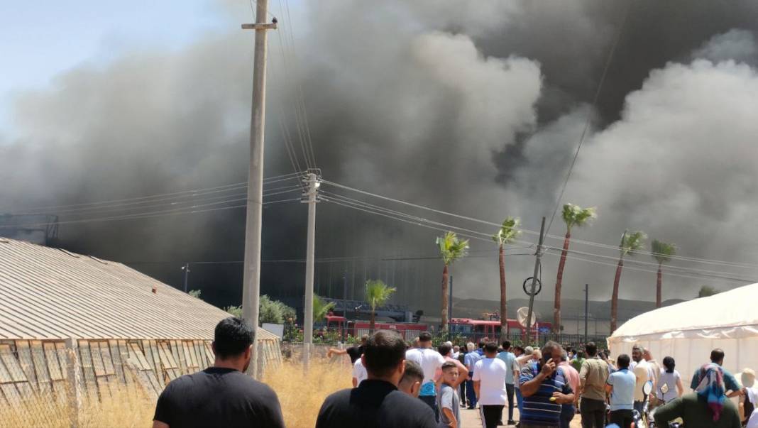 Antalya’daki çiçek üretim tesisi alevlere teslim 11