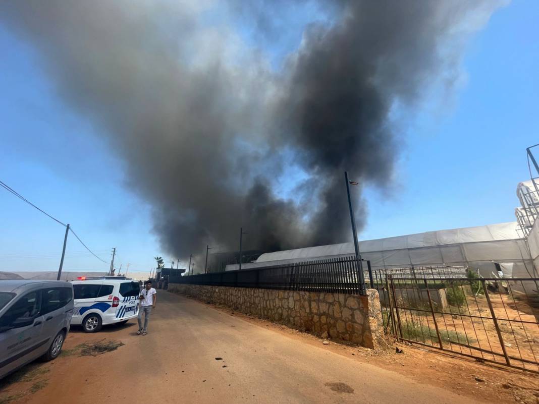 Antalya’daki çiçek üretim tesisi alevlere teslim 9