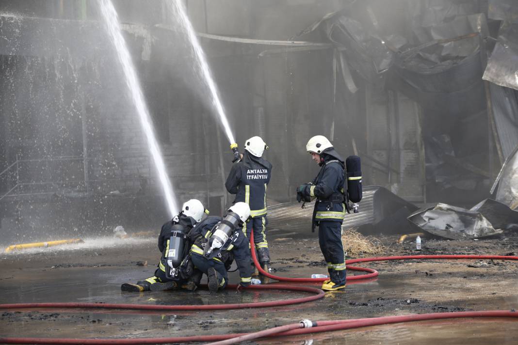 Antalya’daki çiçek üretim tesisi alevlere teslim 6