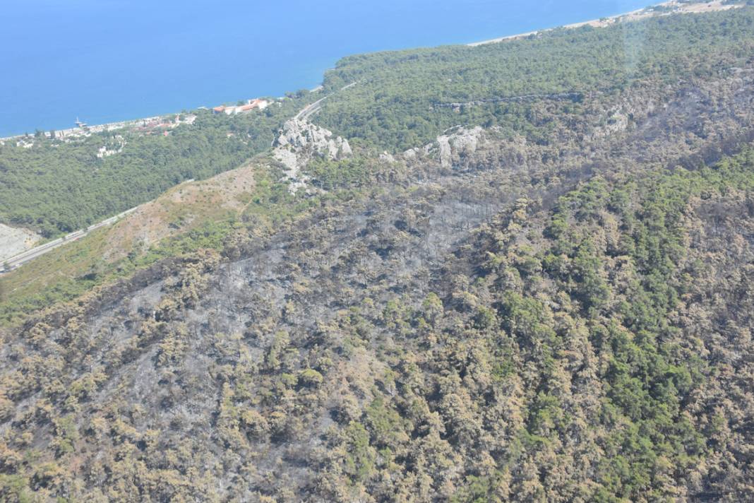 Kemer'deki yangının faturası ortaya çıktı: 420 futbol sahası küle döndü 12