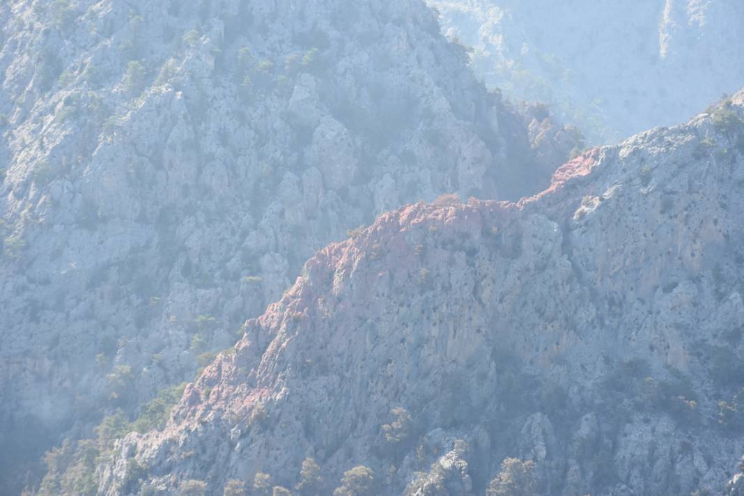 Kemer'deki yangının faturası ortaya çıktı: 420 futbol sahası küle döndü 11