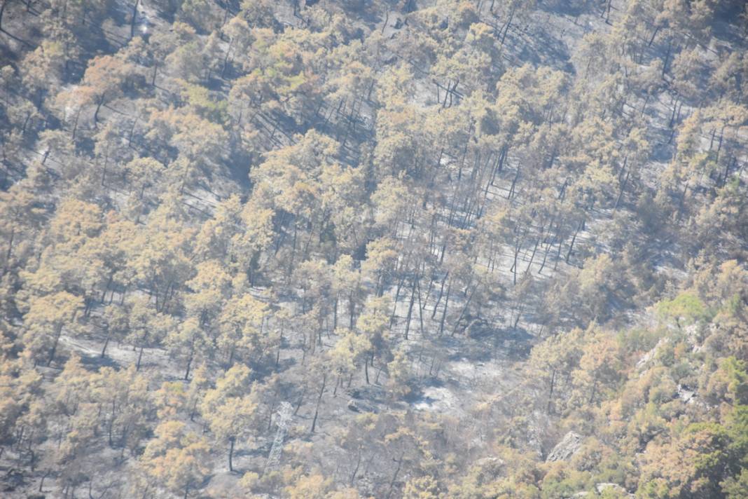 Kemer'deki yangının faturası ortaya çıktı: 420 futbol sahası küle döndü 9