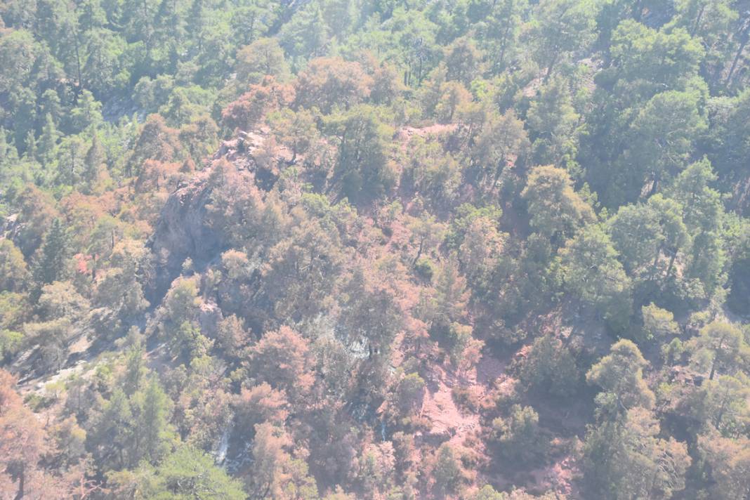 Kemer'deki yangının faturası ortaya çıktı: 420 futbol sahası küle döndü 8