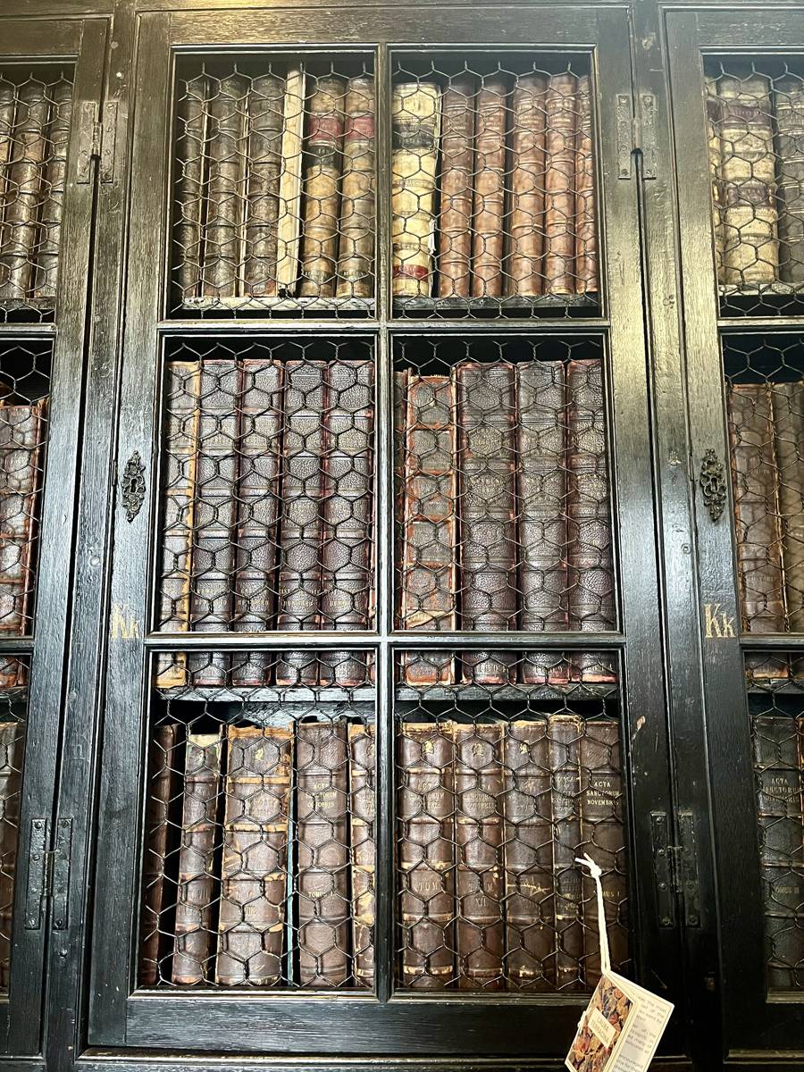 Anglosakson coğrafyadan dünya tarihine yolculuk 8