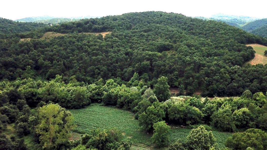 24 gündür tek bir iz yok! Aramaların adresi bu kez dere yatakları 7