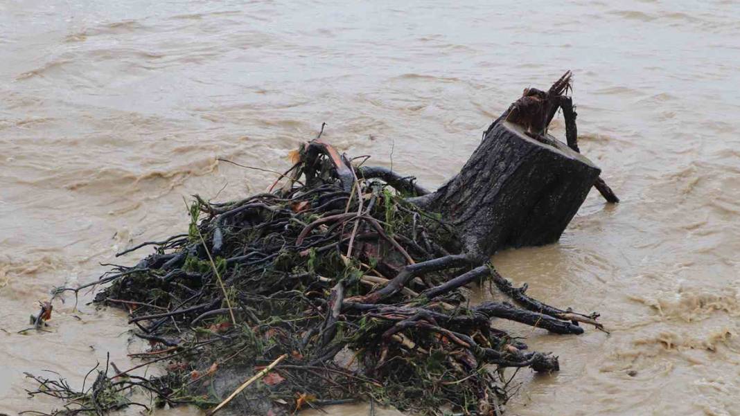 'Kırmızı kod' uyarısı yapılmıştı: Dereler taştı, yollar göle döndü, evleri su bastı! 13