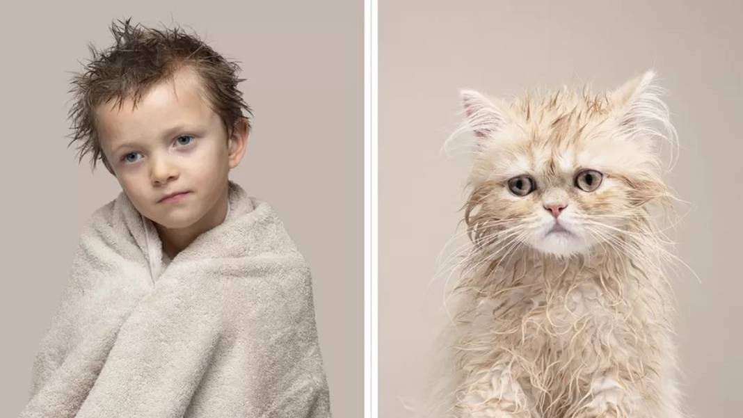 Bu benzerlik görülmeye değer: İşte birbirinden farklı kedi türleri ve insan benzerleri... 10