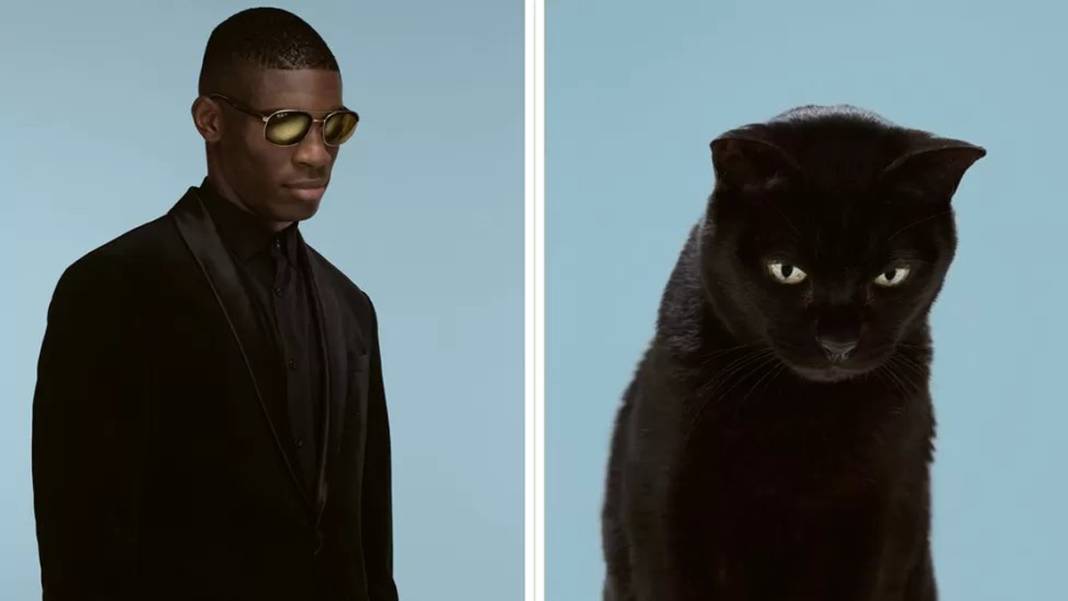 Bu benzerlik görülmeye değer: İşte birbirinden farklı kedi türleri ve insan benzerleri... 7