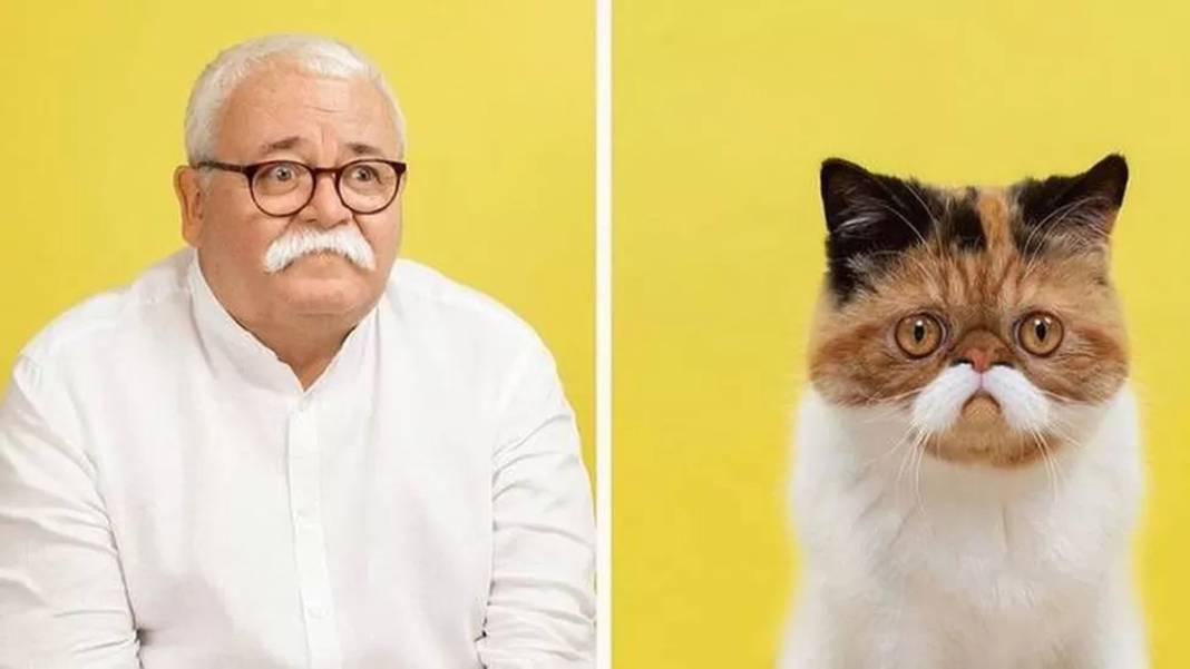 Bu benzerlik görülmeye değer: İşte birbirinden farklı kedi türleri ve insan benzerleri... 4