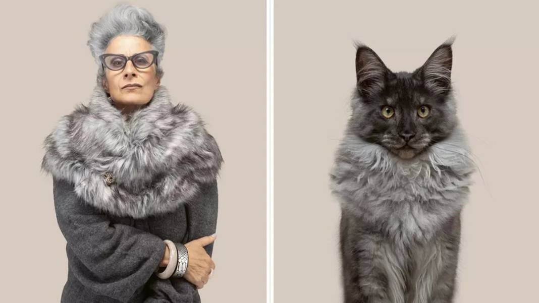 Bu benzerlik görülmeye değer: İşte birbirinden farklı kedi türleri ve insan benzerleri... 3