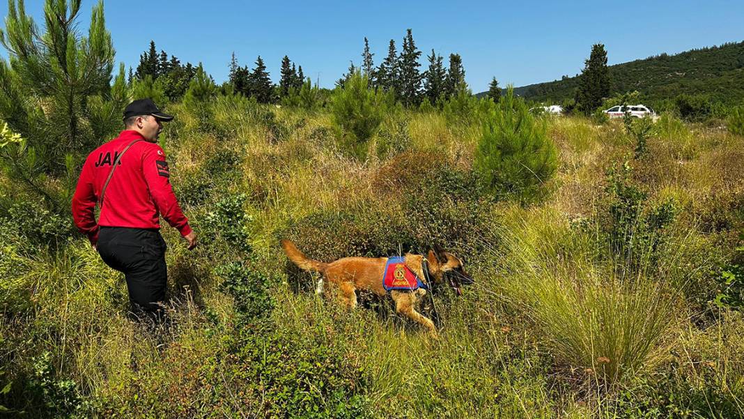 24 gündür tek bir iz yok! Aramaların adresi bu kez dere yatakları 9