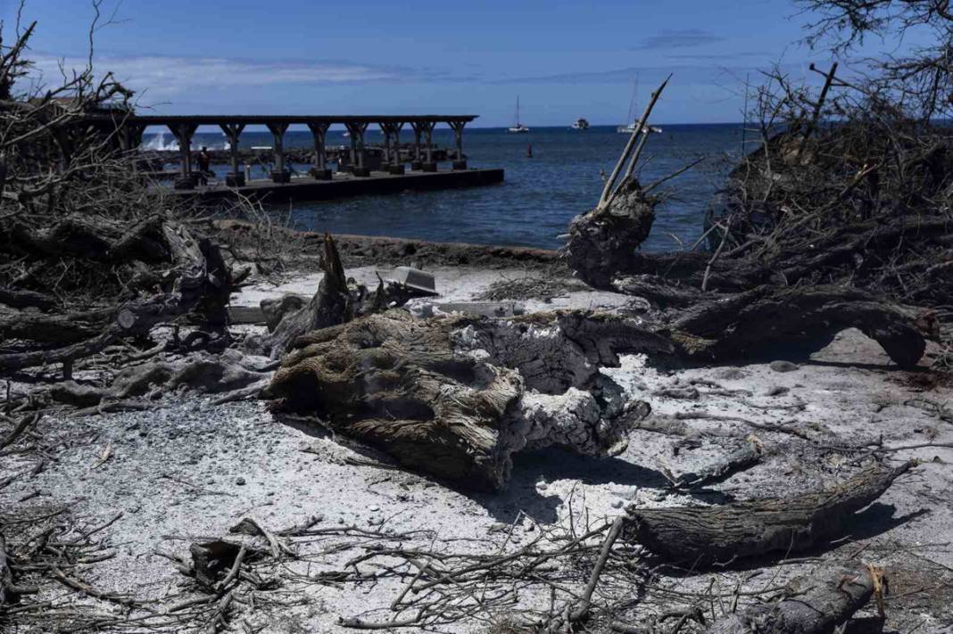 Tüm dünyanın gözü Hawaii'de: Bilanço ağırlaşıyor 3