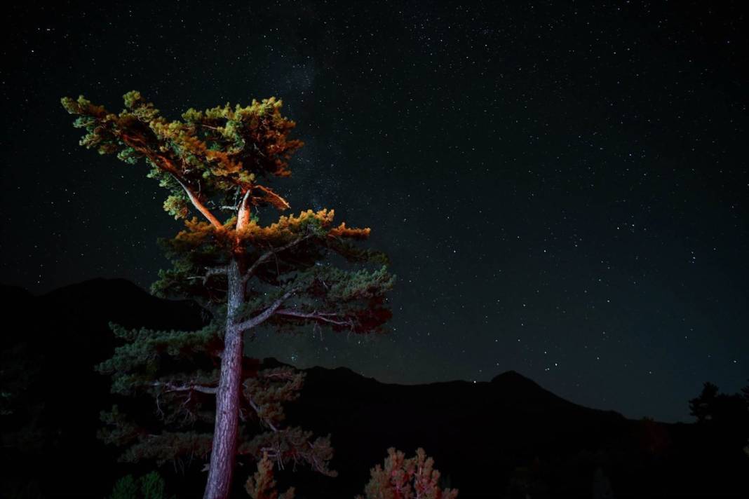 Türkiye'nin en karanlık yerinde gökyüzü gözlem şenliği: 'En az bir kez yaşanması gereken bir deneyim' 6