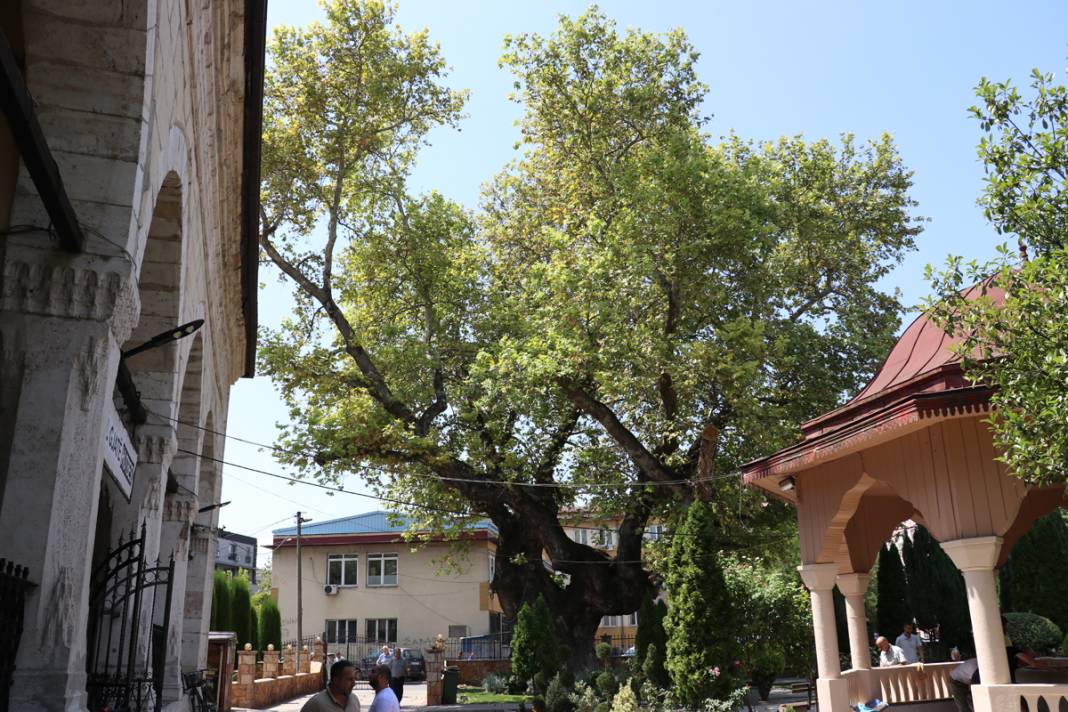 Üsküp’ü fetheden komutanın torunu dikti... Kuzey Makedonya’daki cami avlusunda 550 yıldır ayakta 4